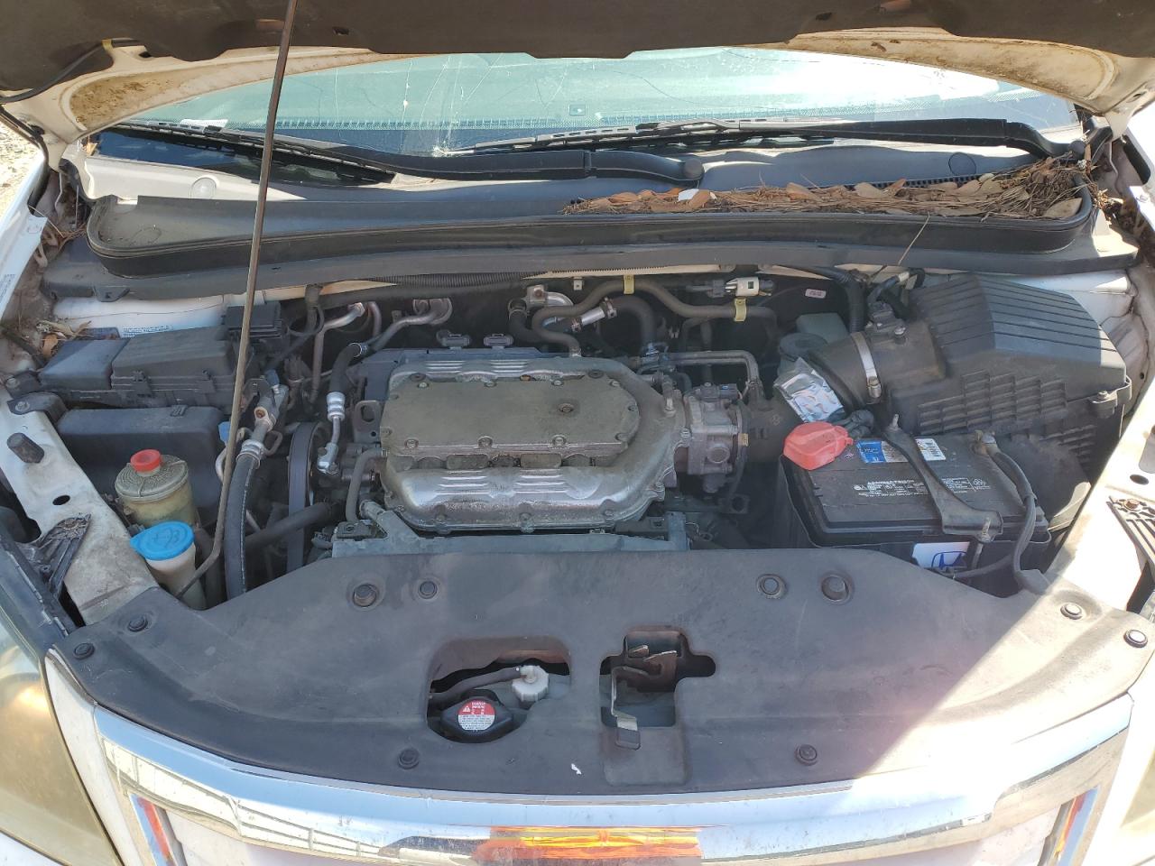 2009 HONDA All Models