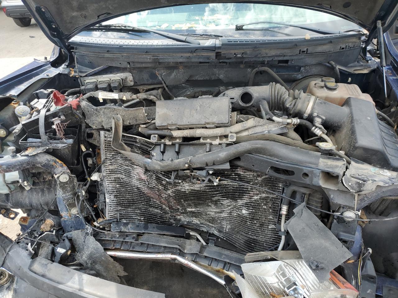 2009 FORD All Models
