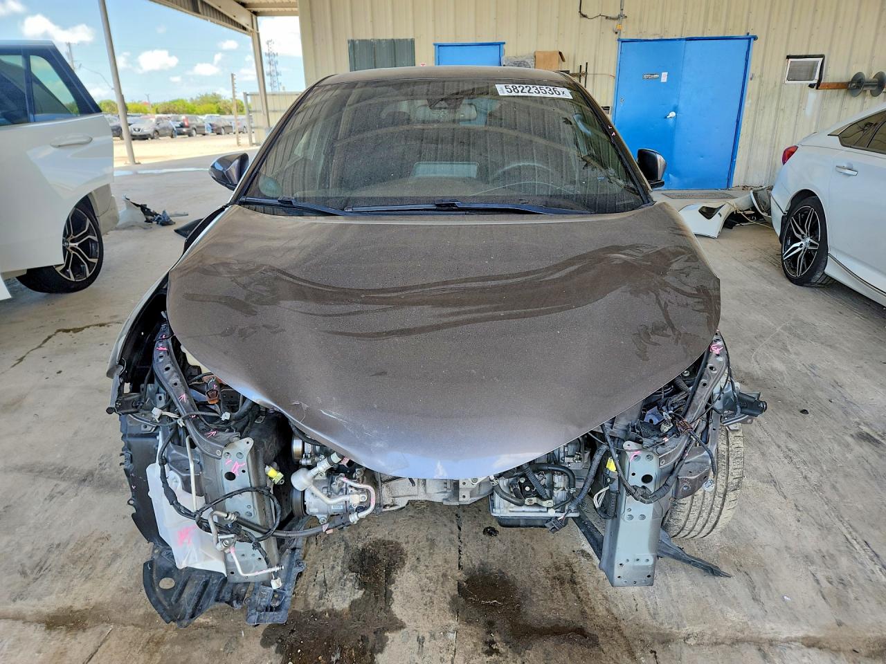 2019 TOYOTA C-HR
