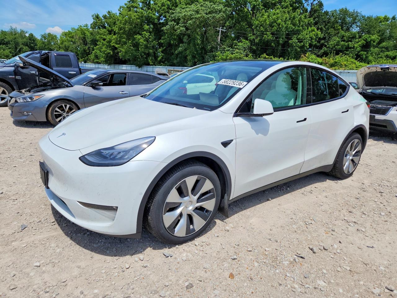 2020 TESLA MODEL Y