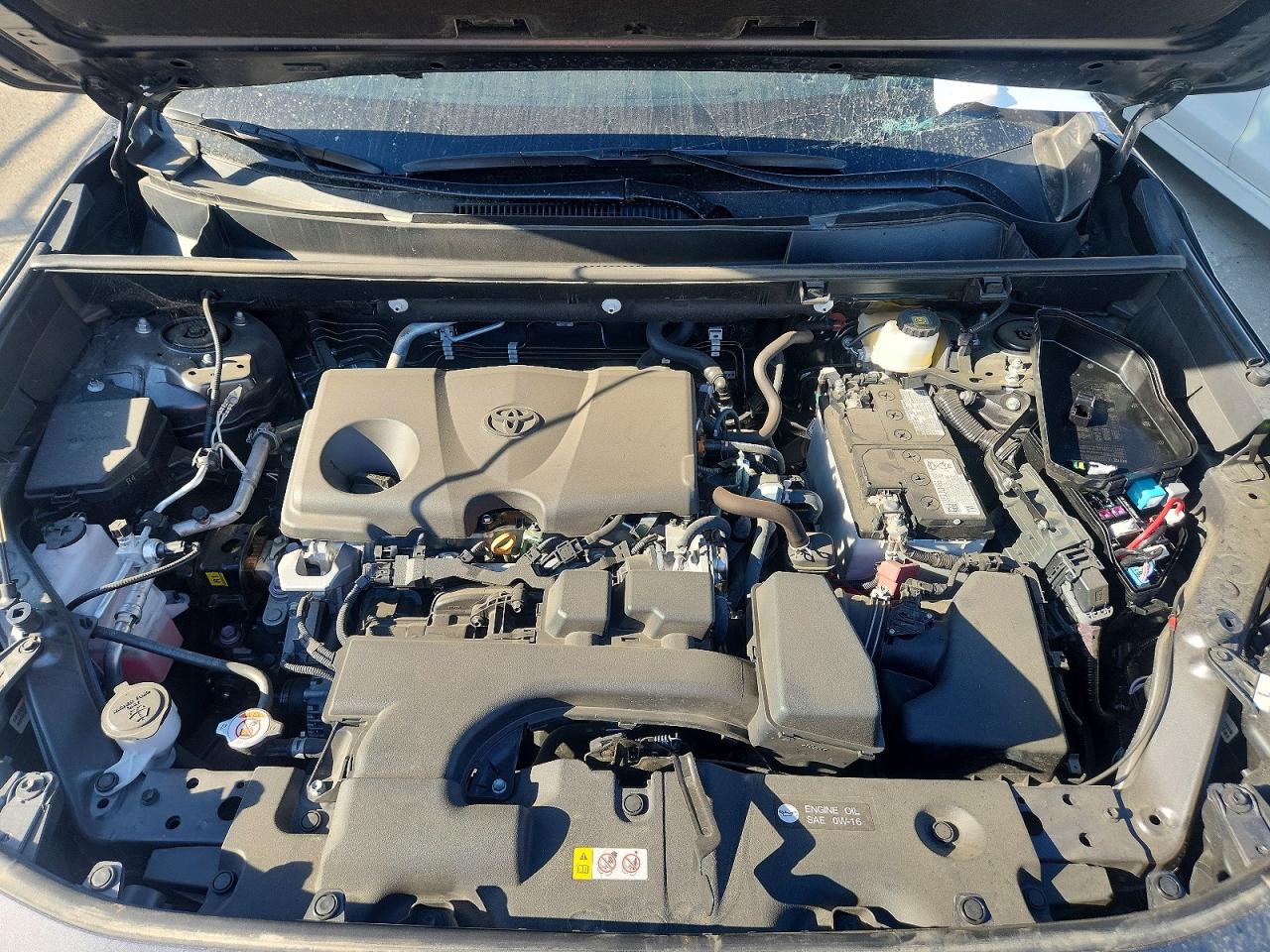 2025 TOYOTA RAV4