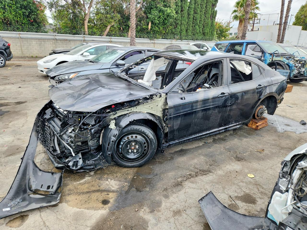 2025 TOYOTA CAMRY