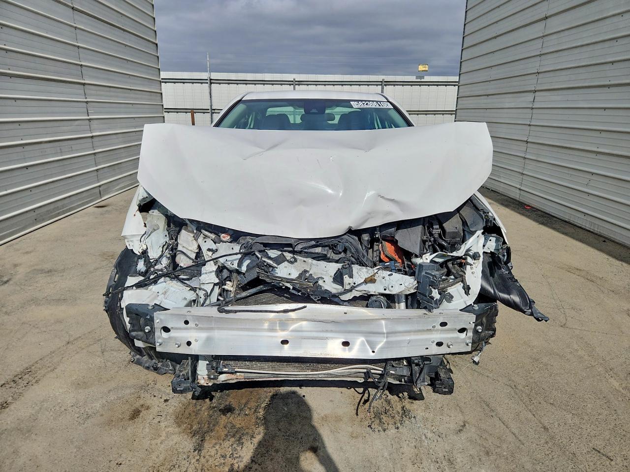 2023 TOYOTA CAMRY