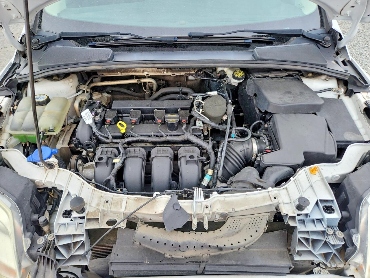 2013 FORD FOCUS