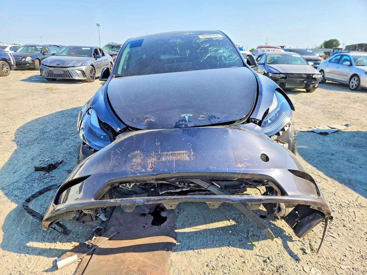 2024 TESLA MODEL Y