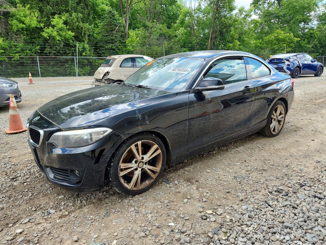 2015 BMW 2 SERIES