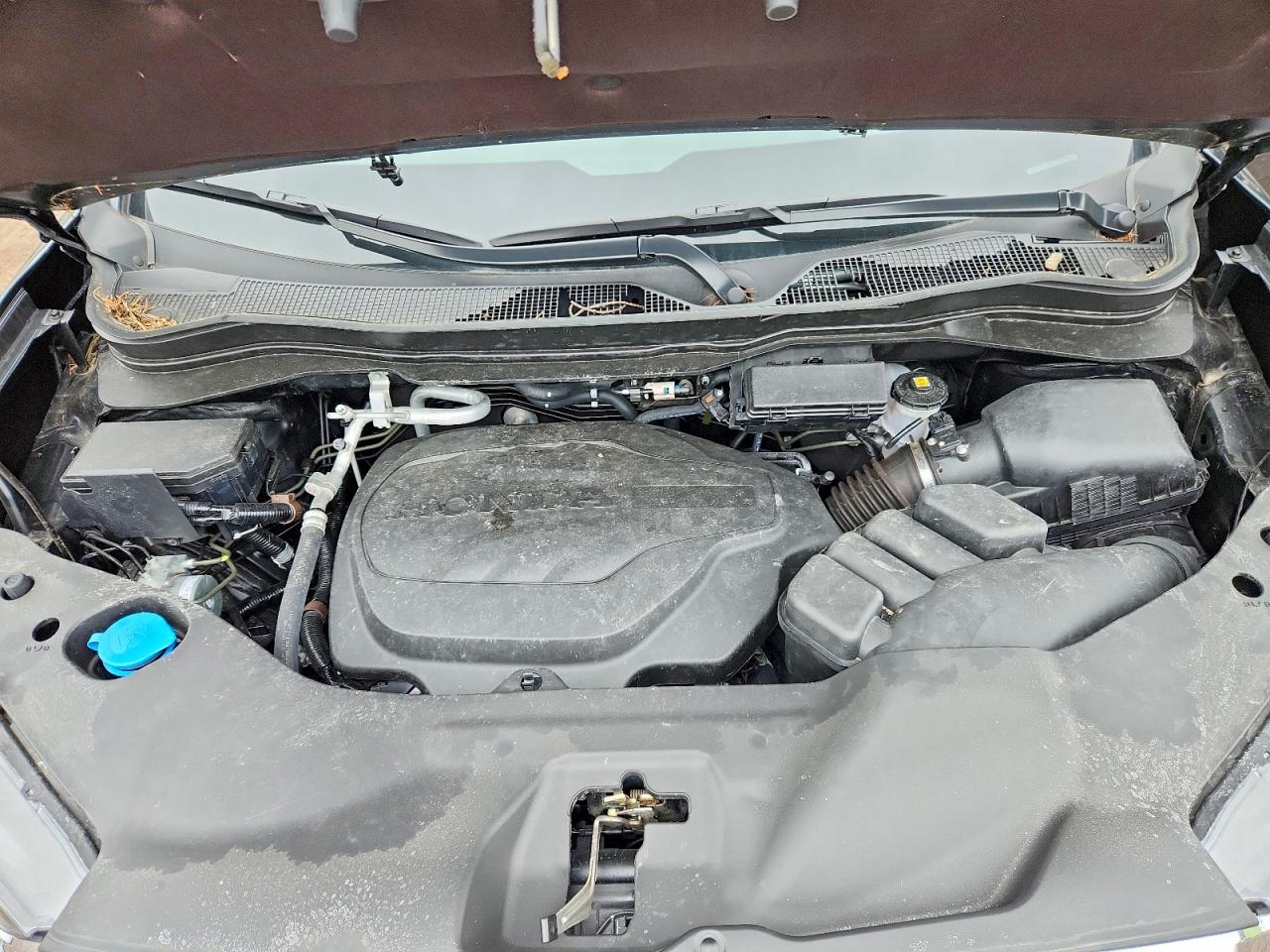 2025 HONDA RIDGELINE
