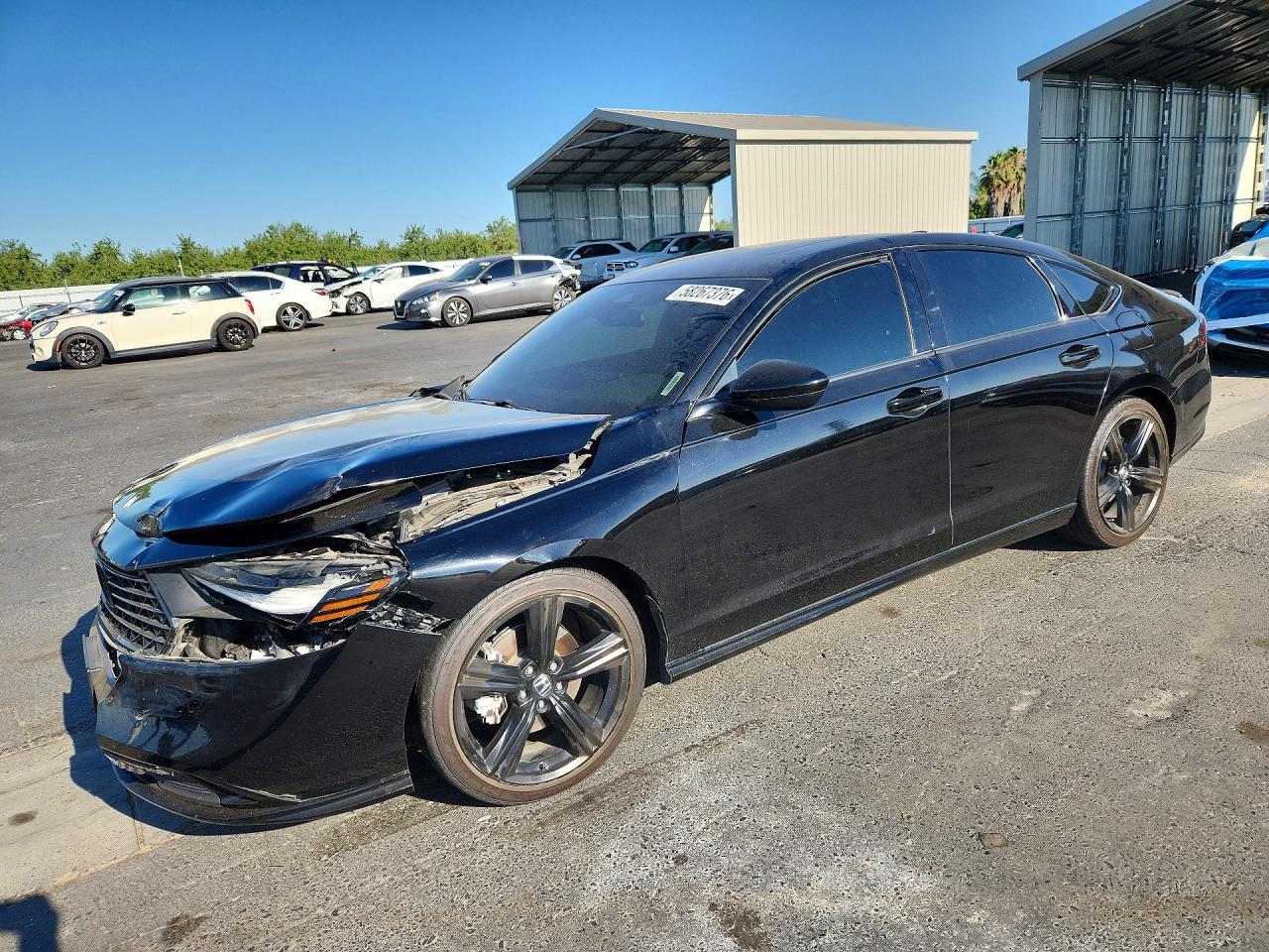2024 HONDA ACCORD