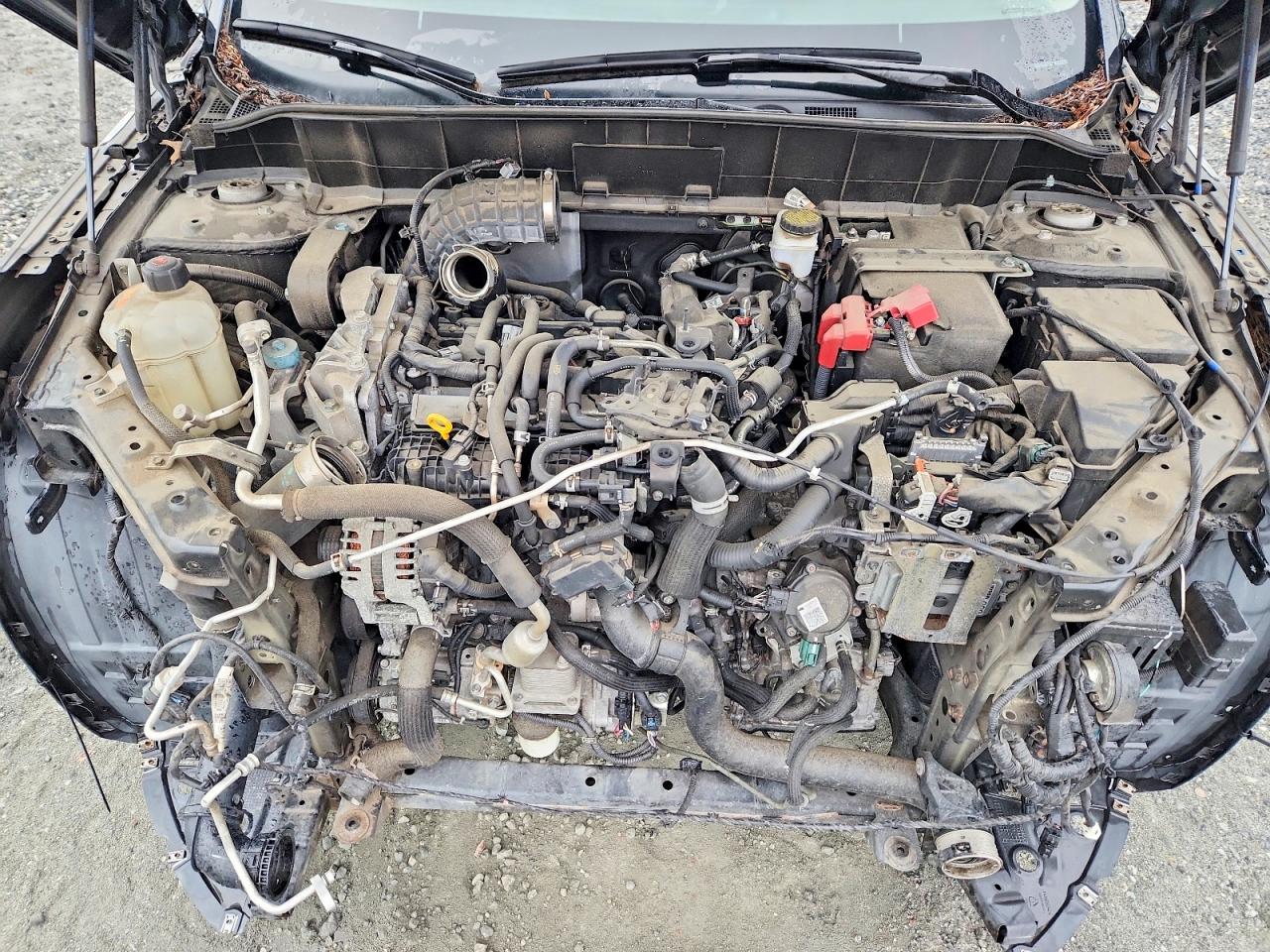2019 INFINITI QX50