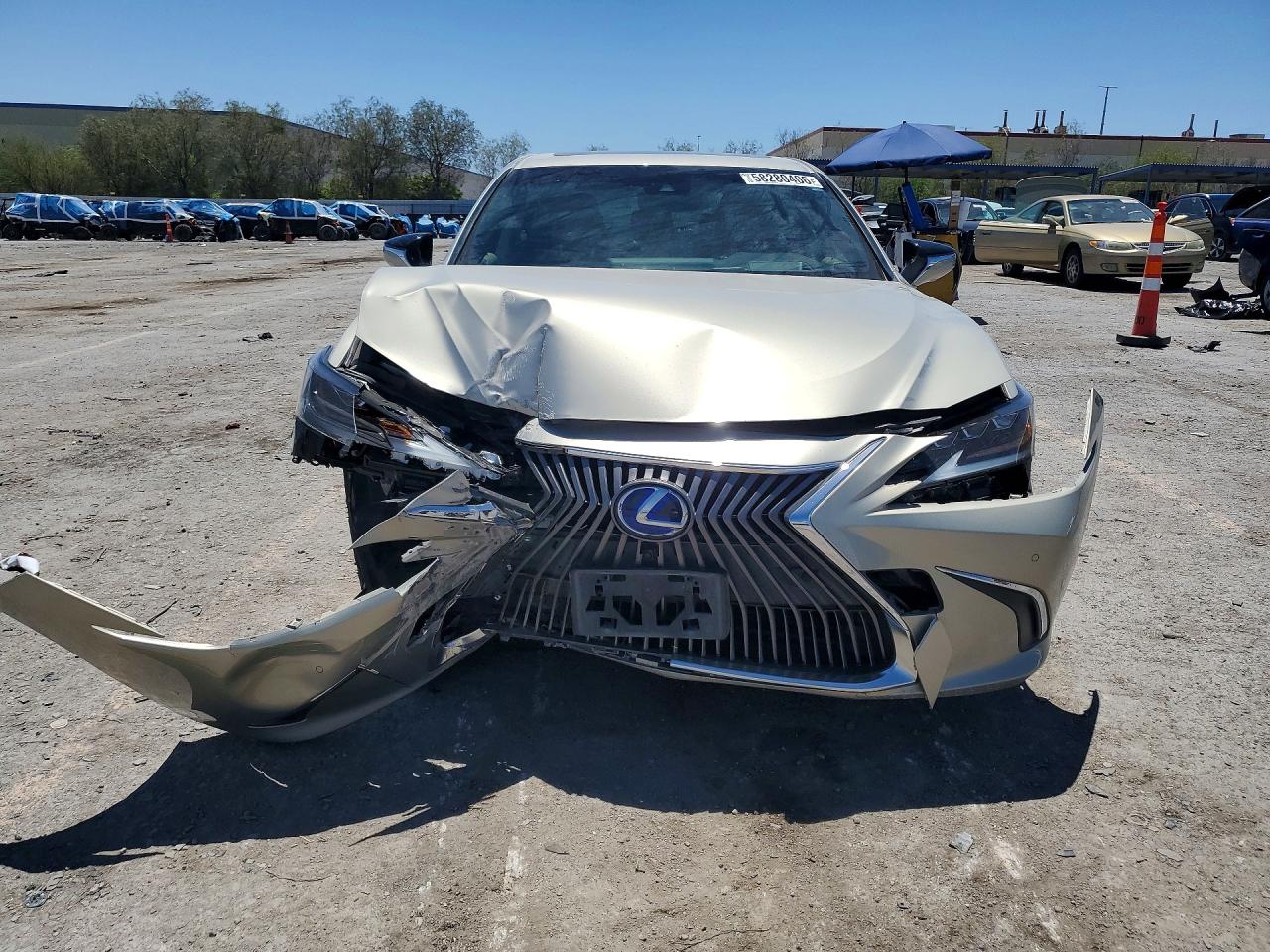 2019 LEXUS ES300