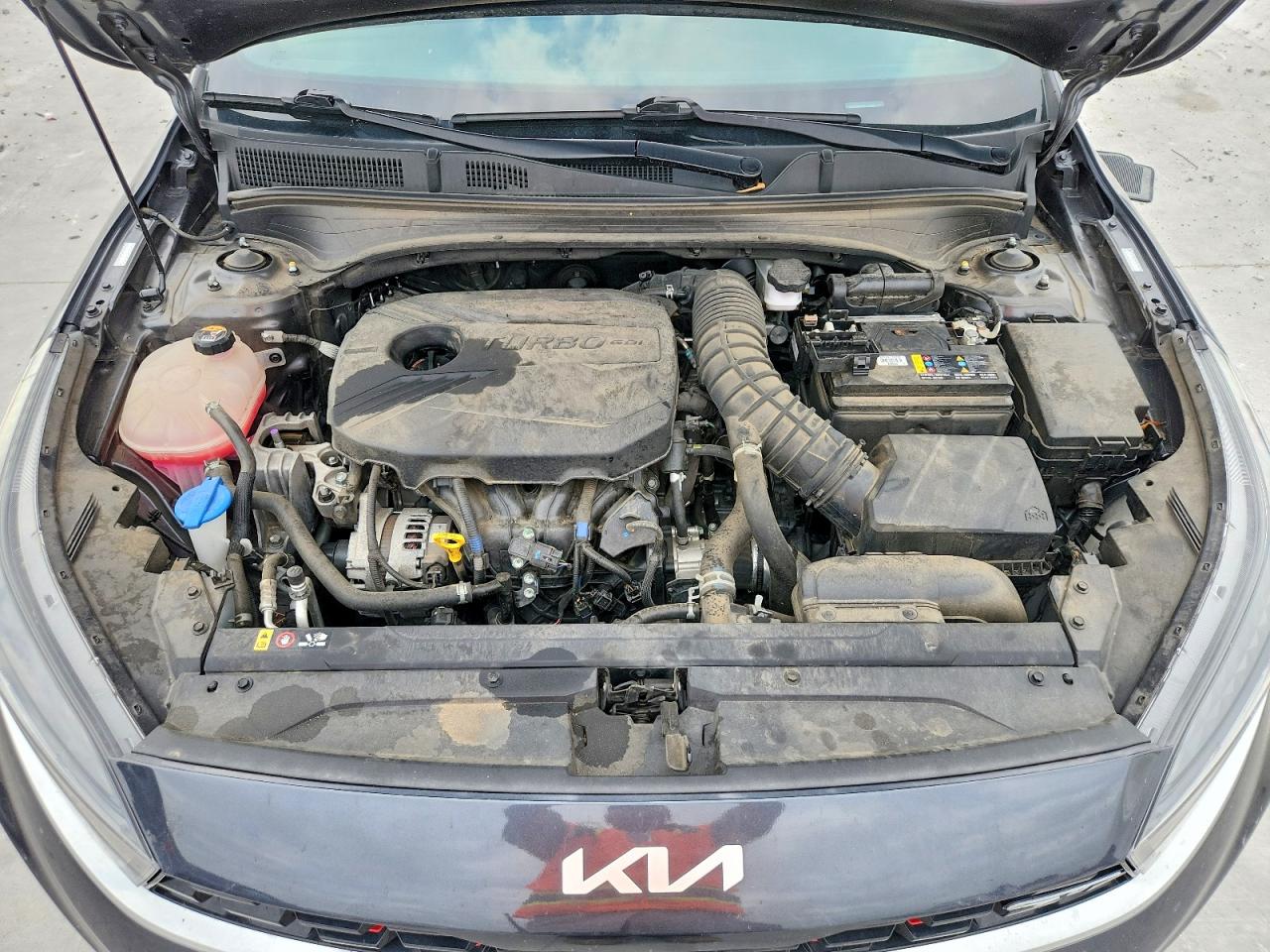 2023 KIA FORTE