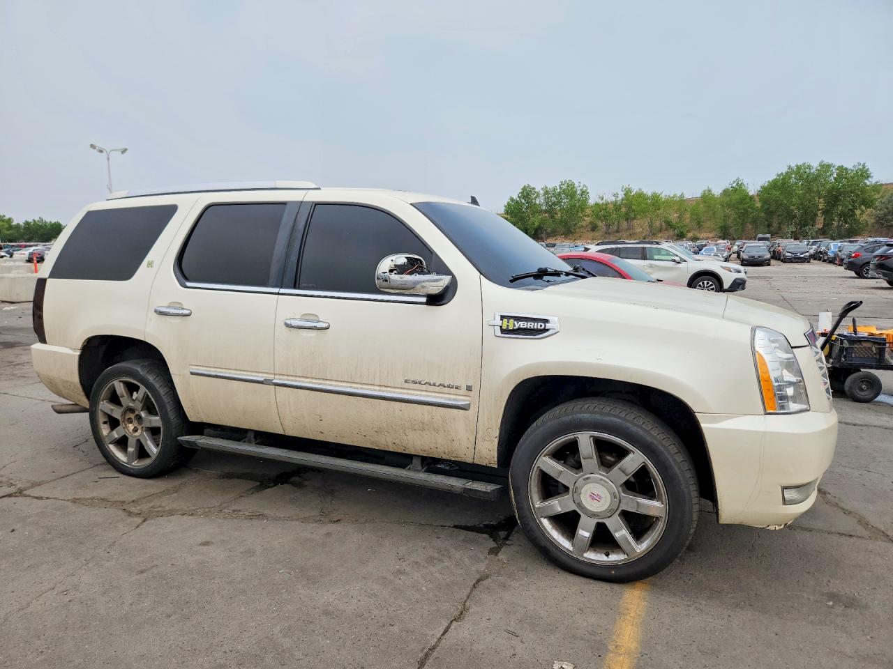 2009 CADILLAC ESCALADE