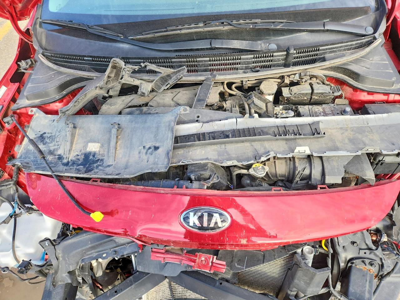 2021 KIA RIO