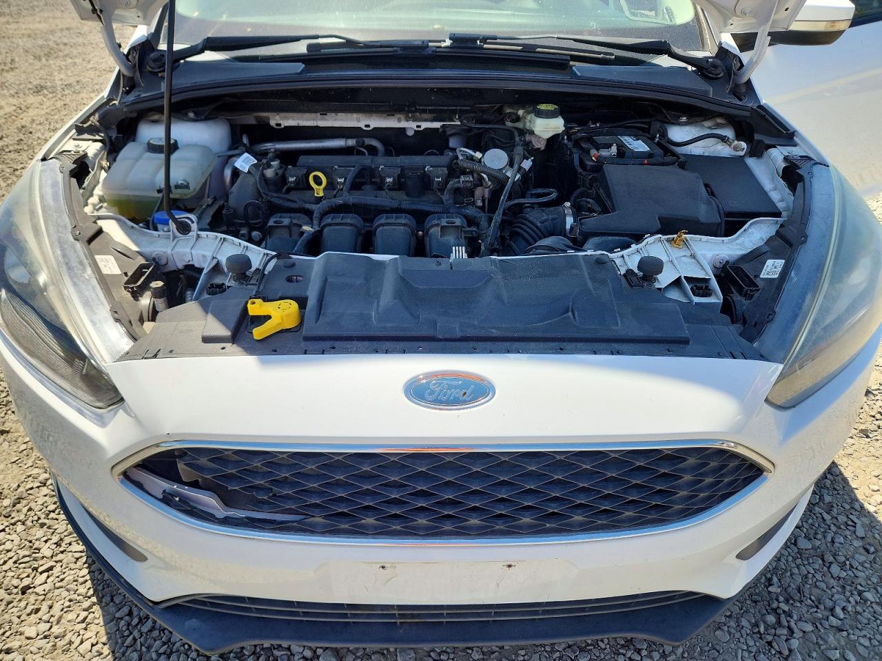 2017 FORD FOCUS