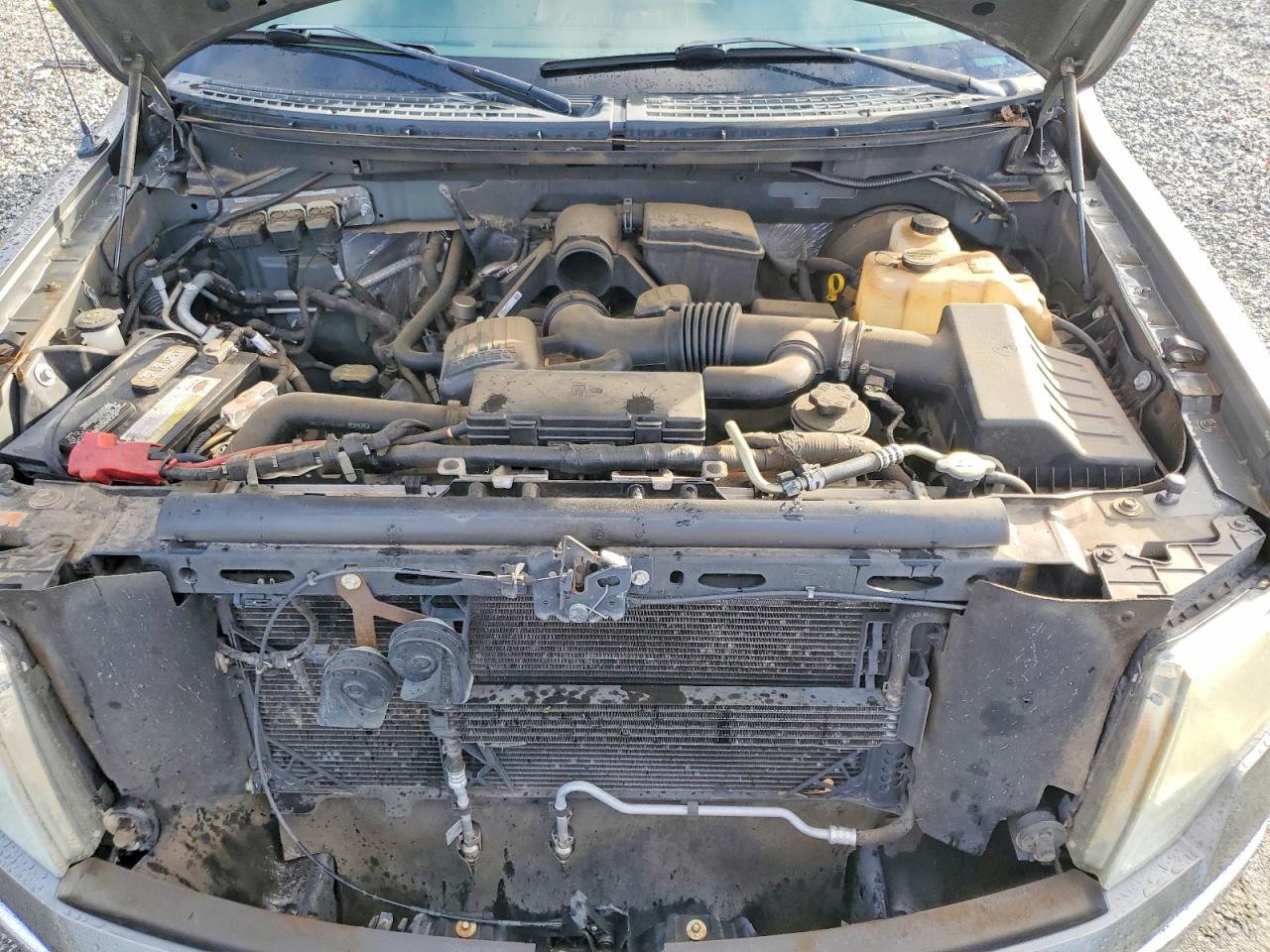 2010 FORD F150