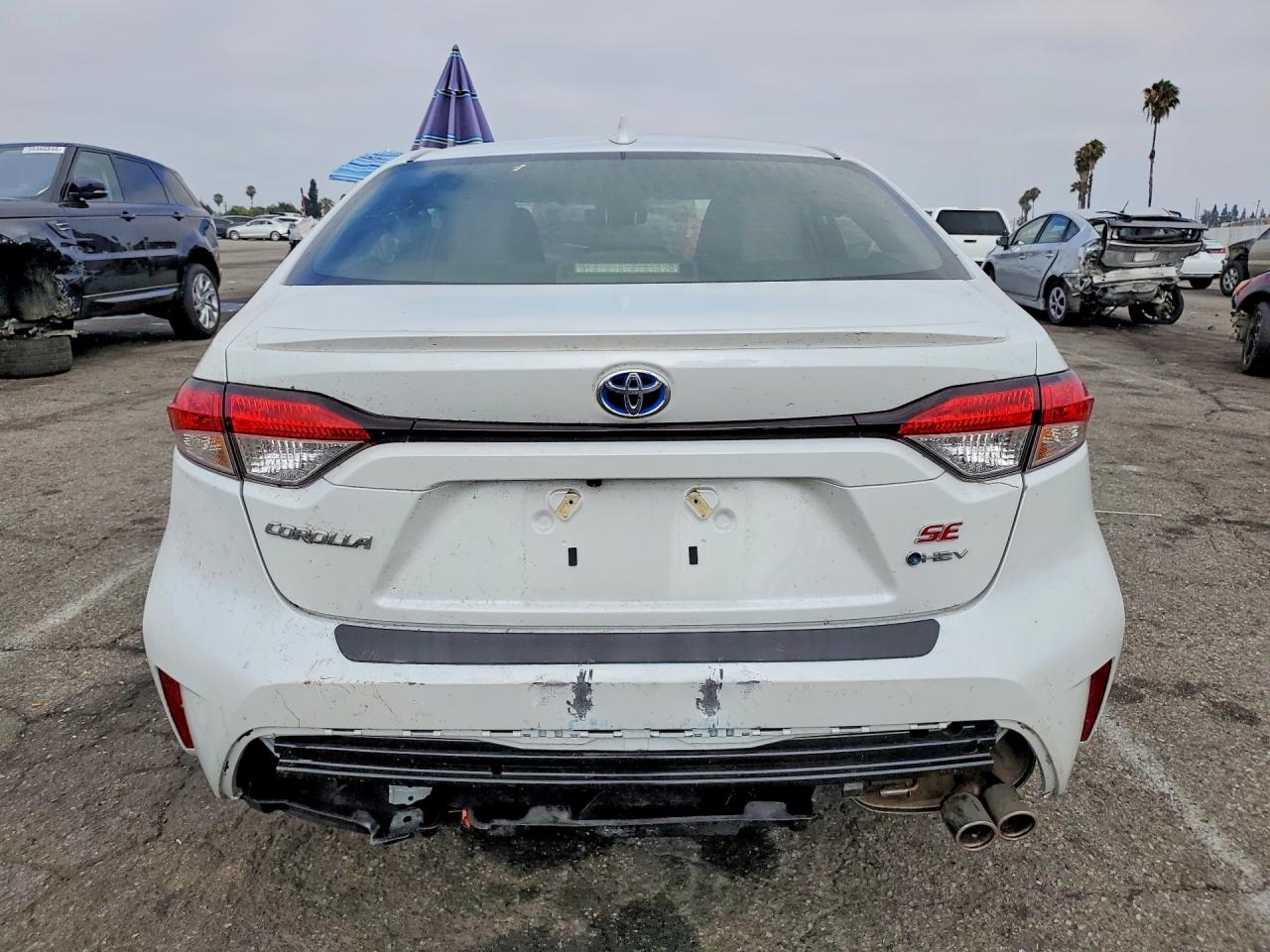 2025 TOYOTA COROLLA