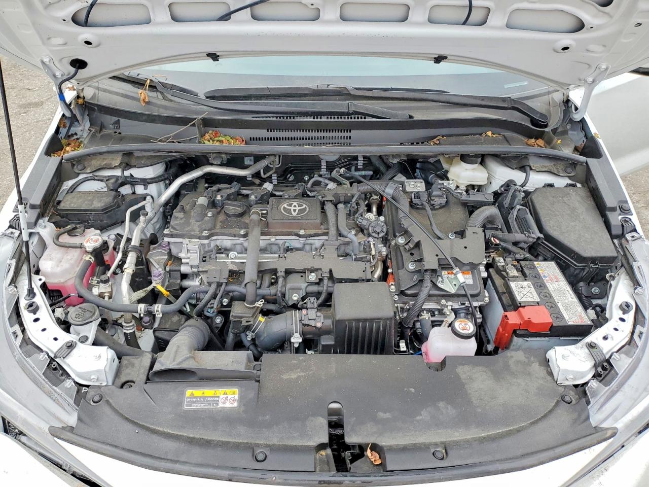 2025 TOYOTA COROLLA