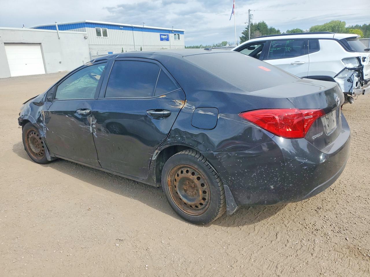 2019 TOYOTA COROLLA