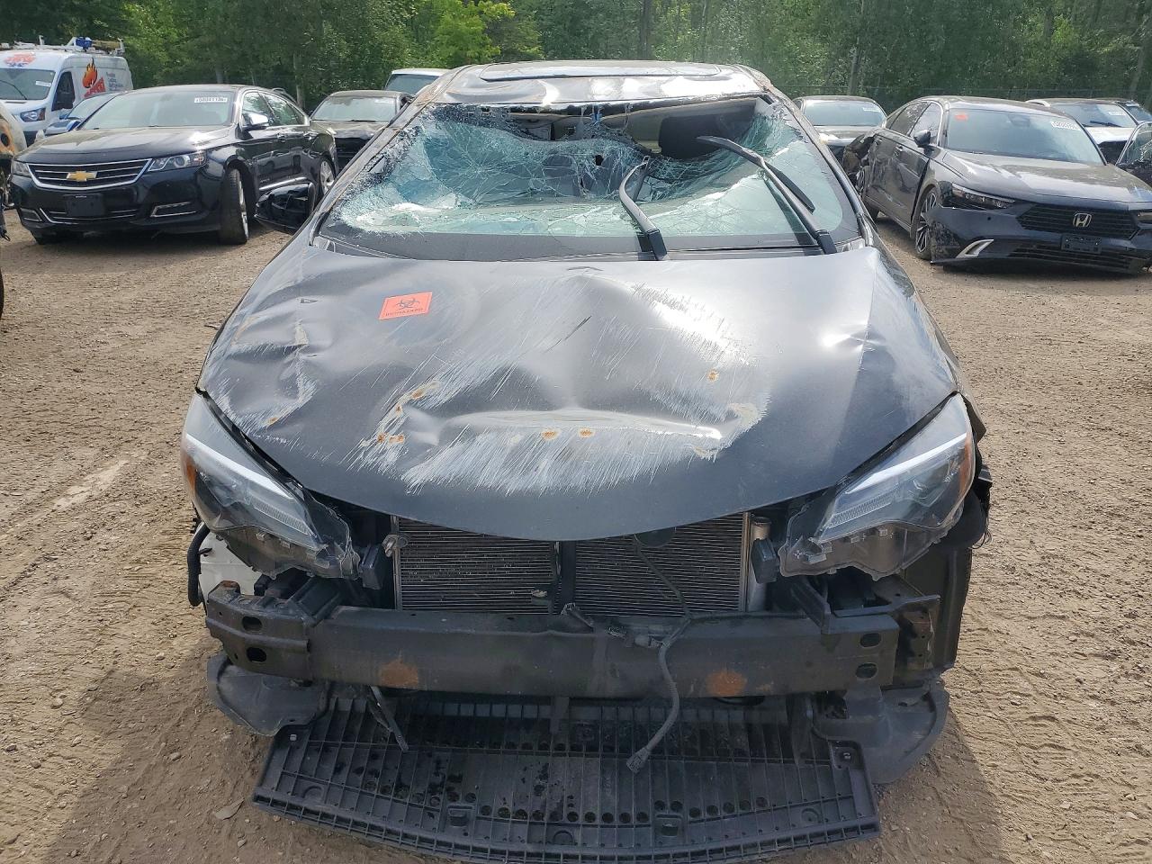 2019 TOYOTA COROLLA