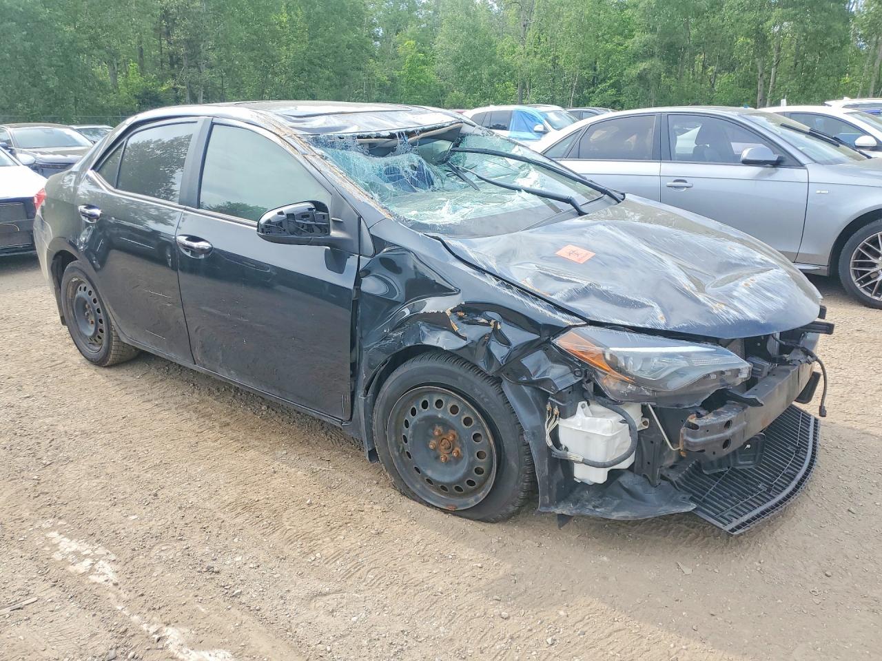 2019 TOYOTA COROLLA
