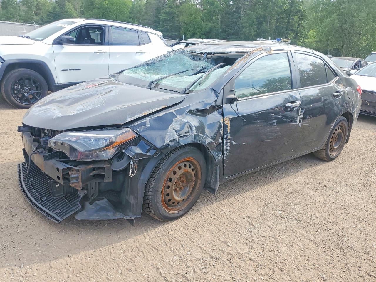 2019 TOYOTA COROLLA
