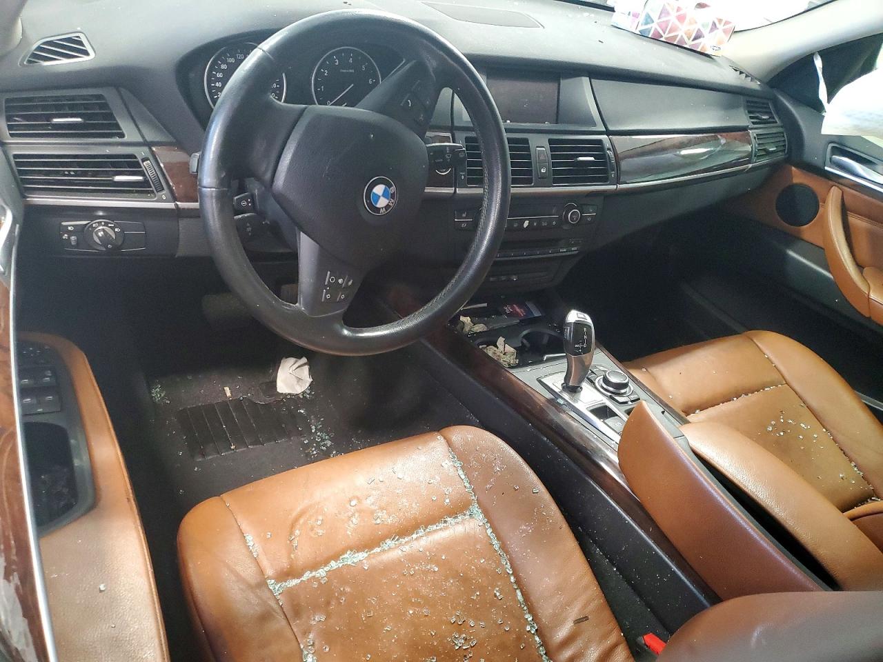 2010 BMW X5