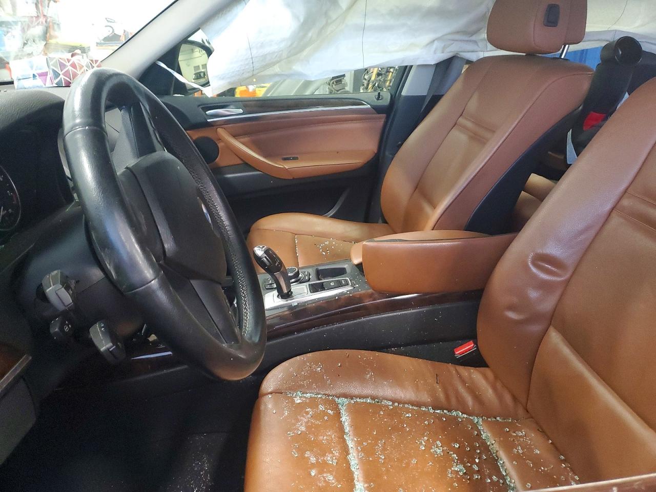 2010 BMW X5