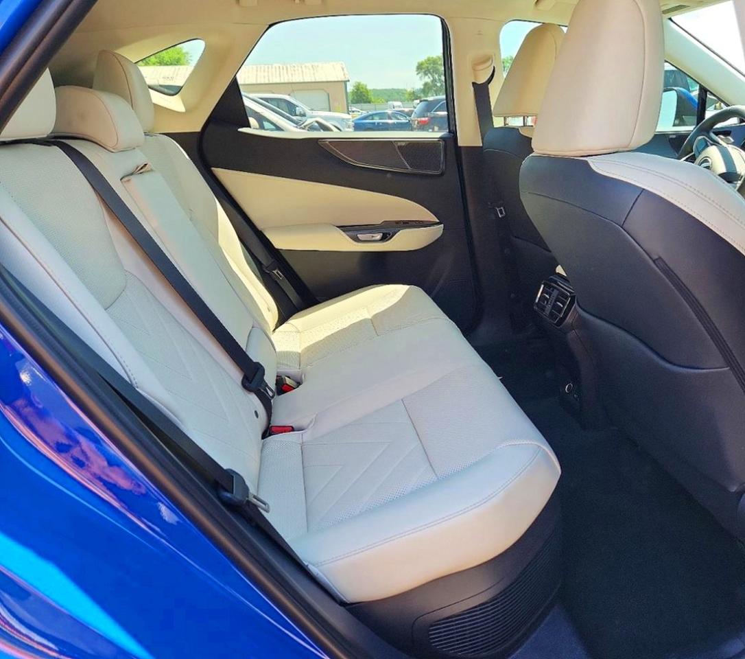 2025 LEXUS NX