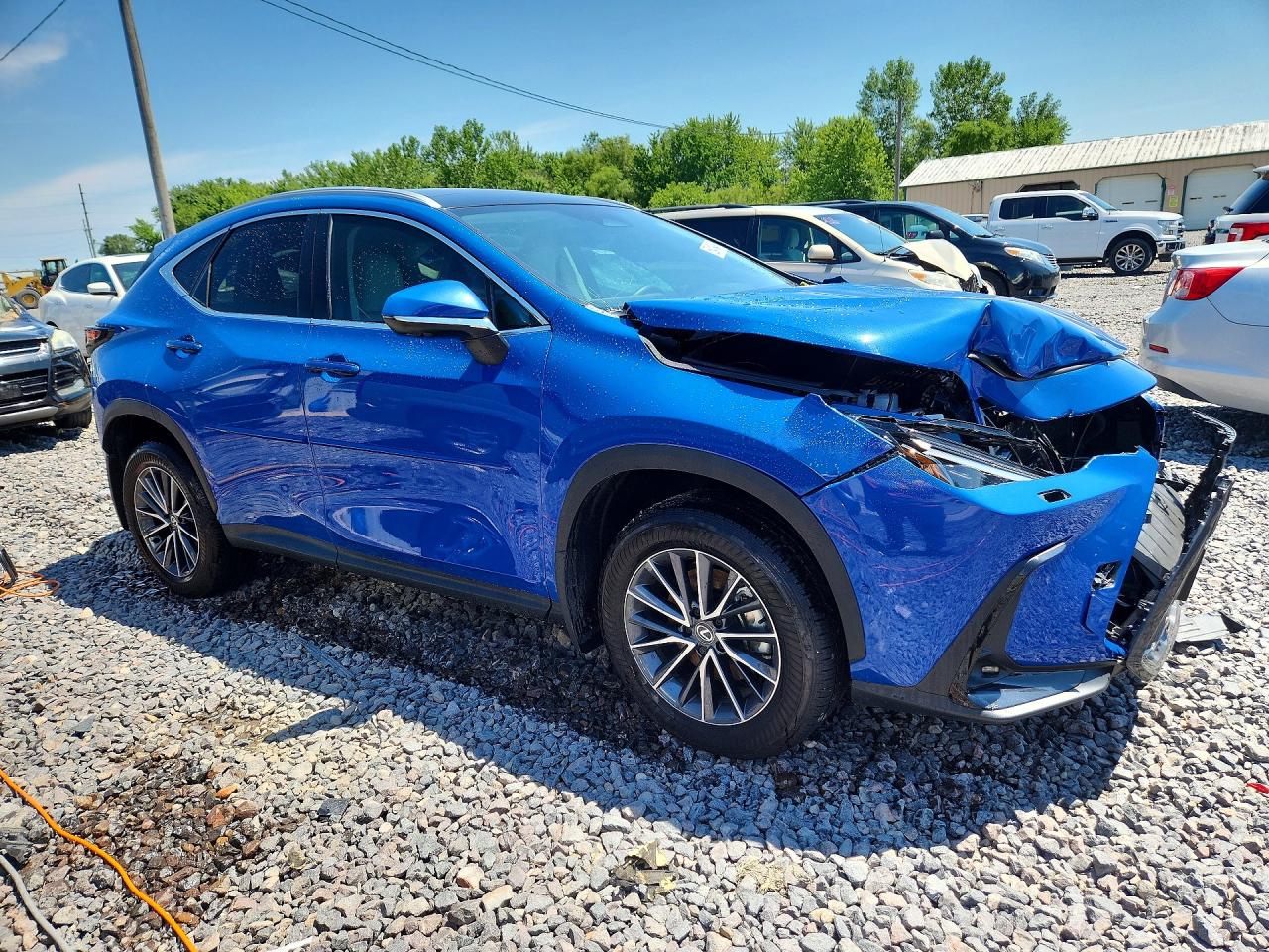 2025 LEXUS NX
