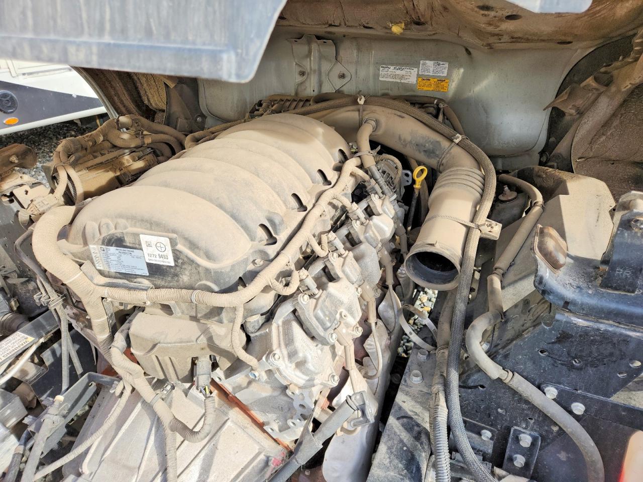 2024 ISUZU NPR