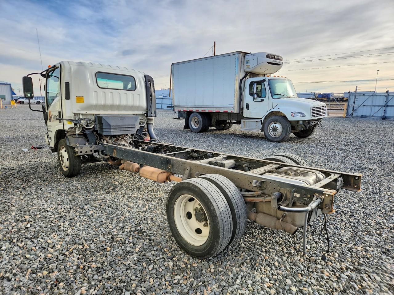 2024 ISUZU NPR