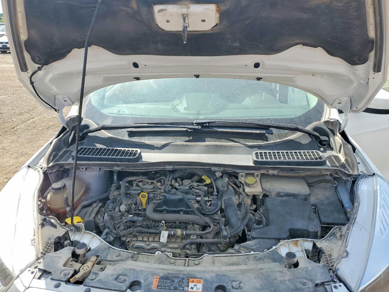2019 FORD ESCAPE