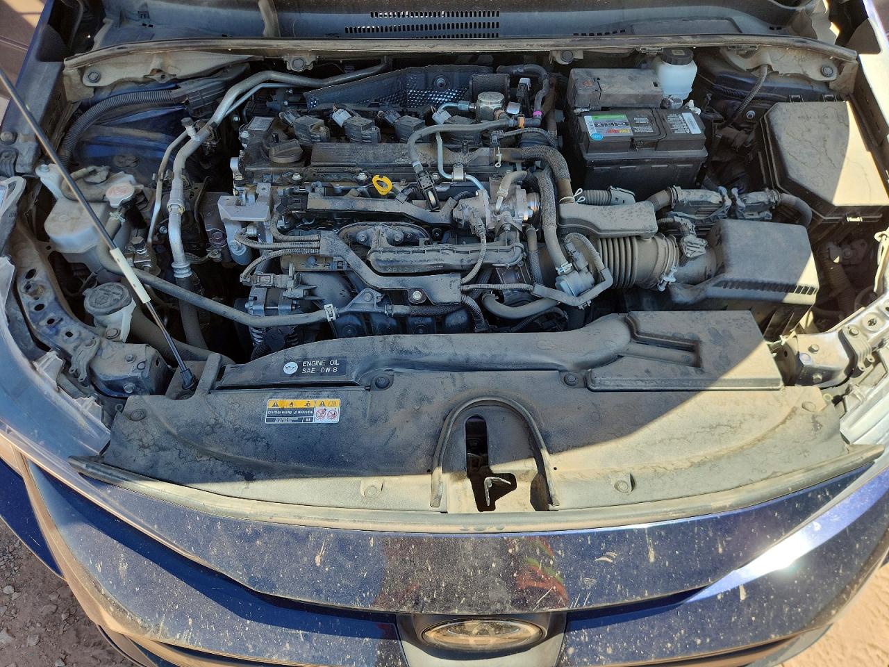 2023 TOYOTA COROLLA