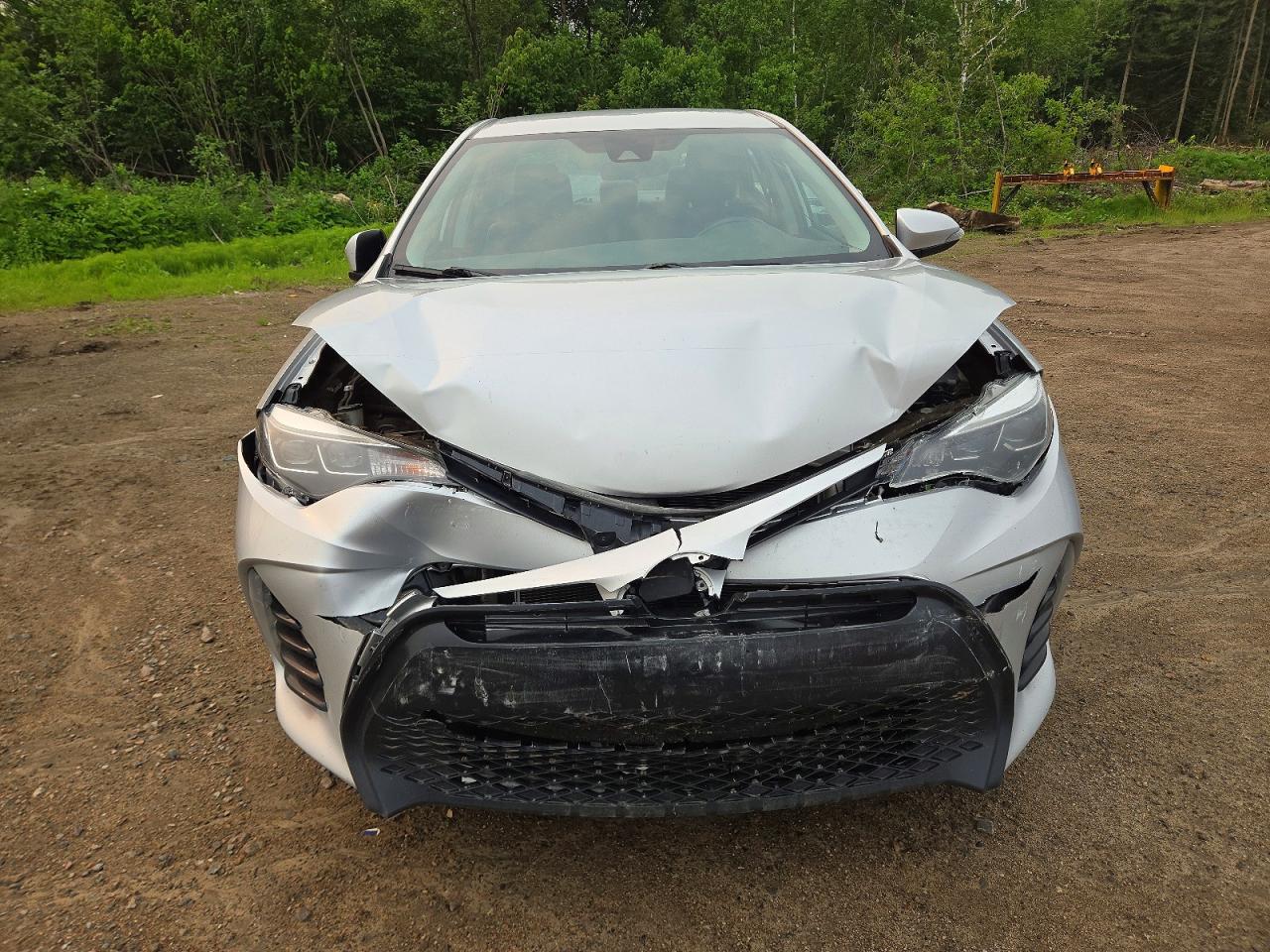 2019 TOYOTA COROLLA