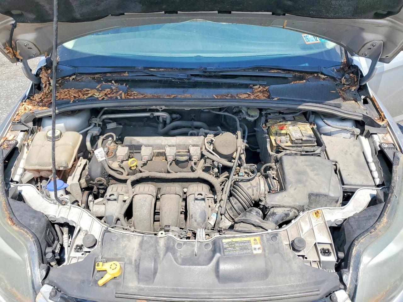 2013 FORD FOCUS