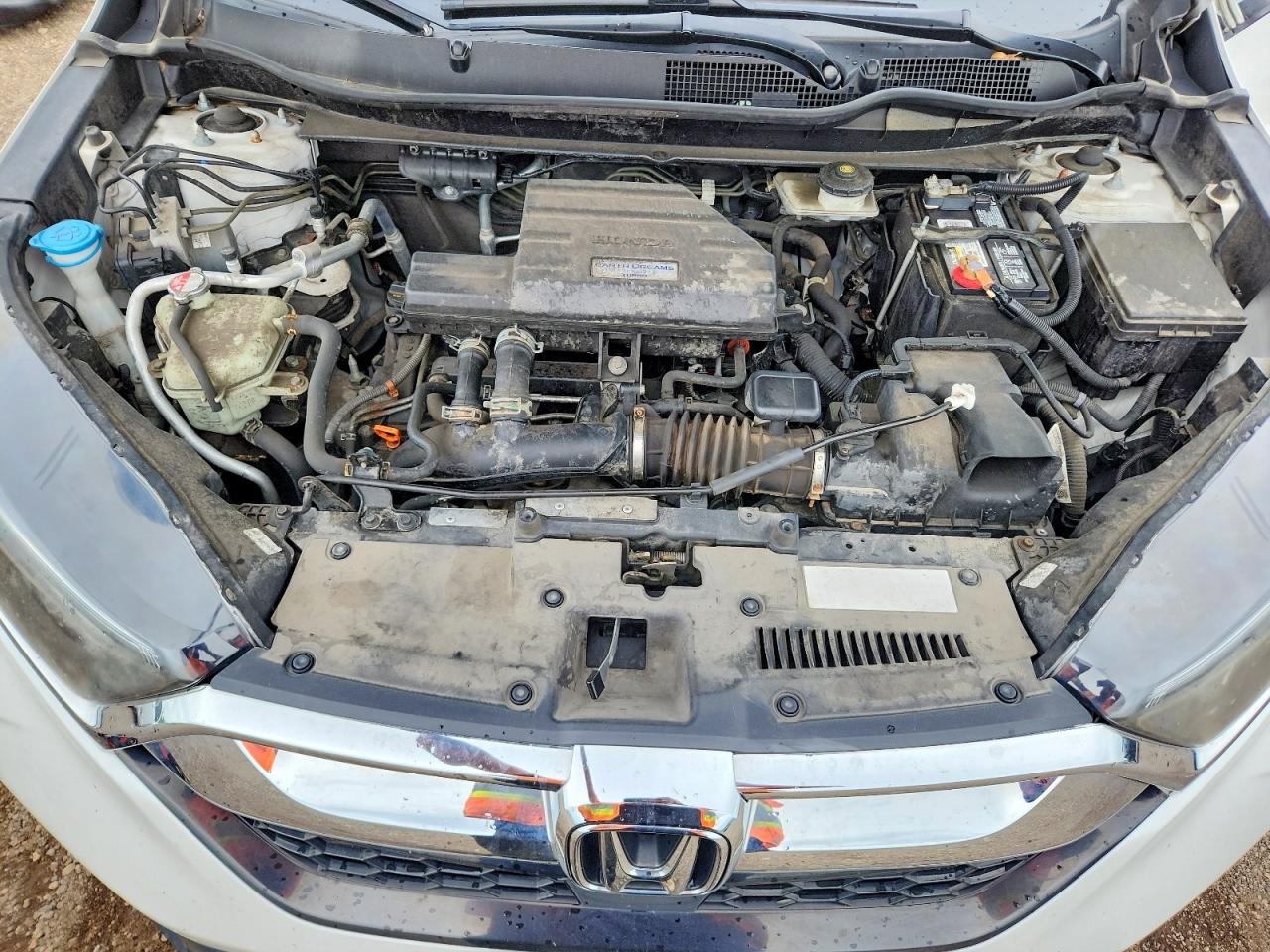 2019 HONDA CRV