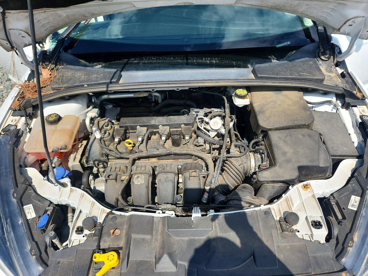 2017 FORD FOCUS