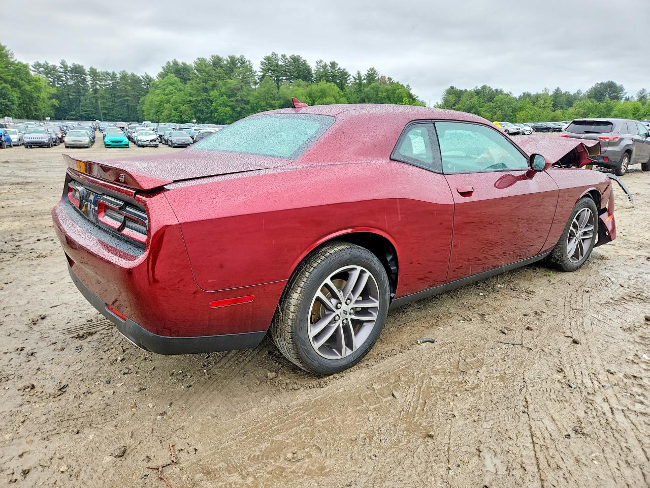 2019 DODGE CHALLENGER