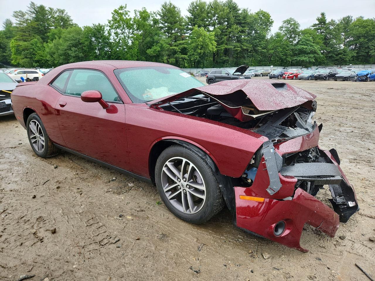 2019 DODGE CHALLENGER