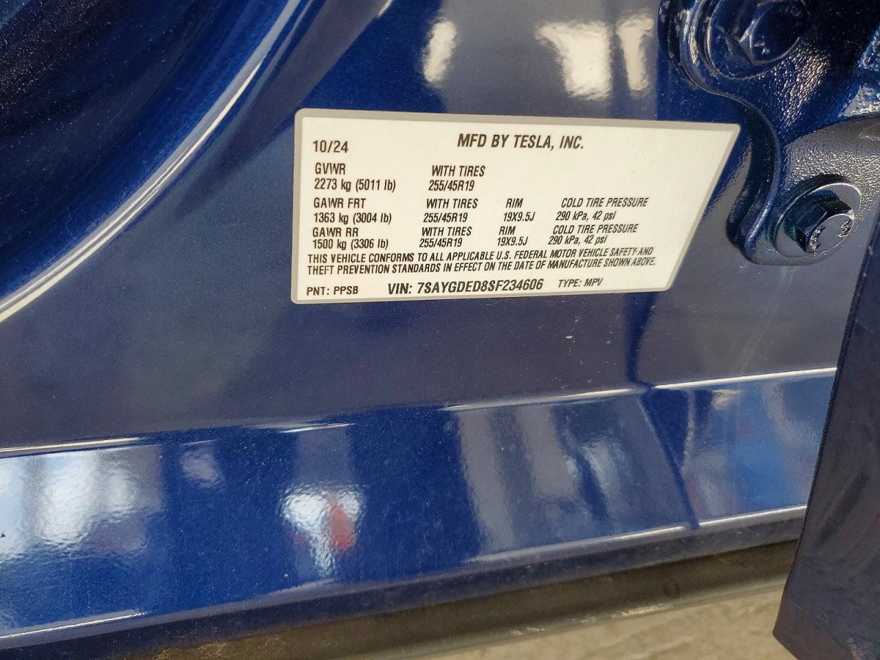 2025 TESLA MODEL Y