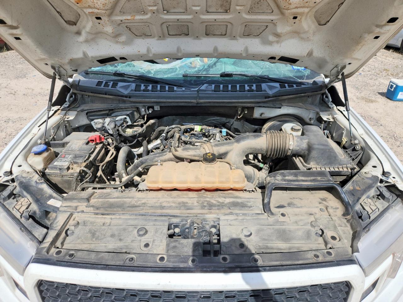 2019 FORD F150