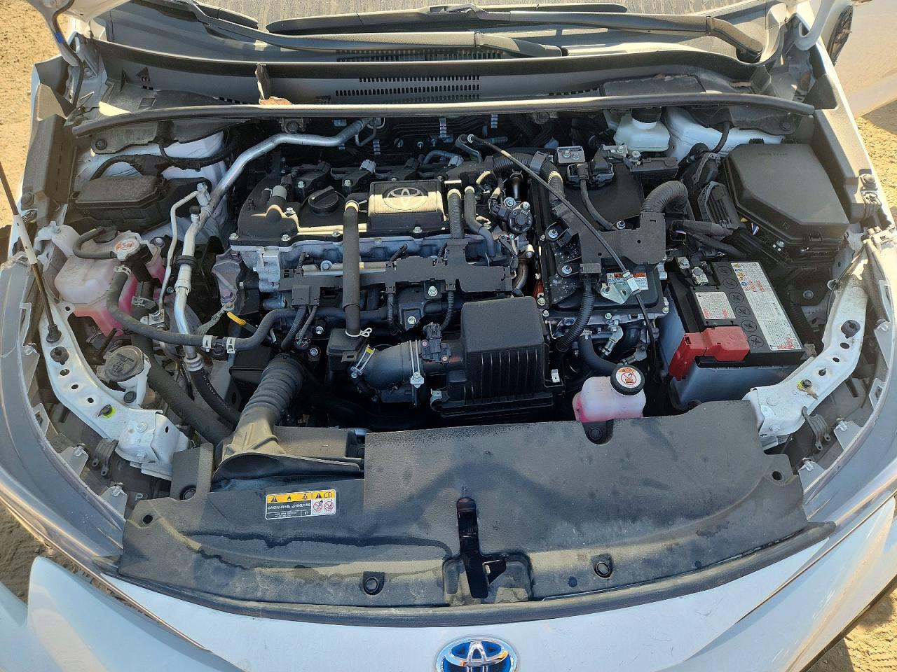 2025 TOYOTA COROLLA
