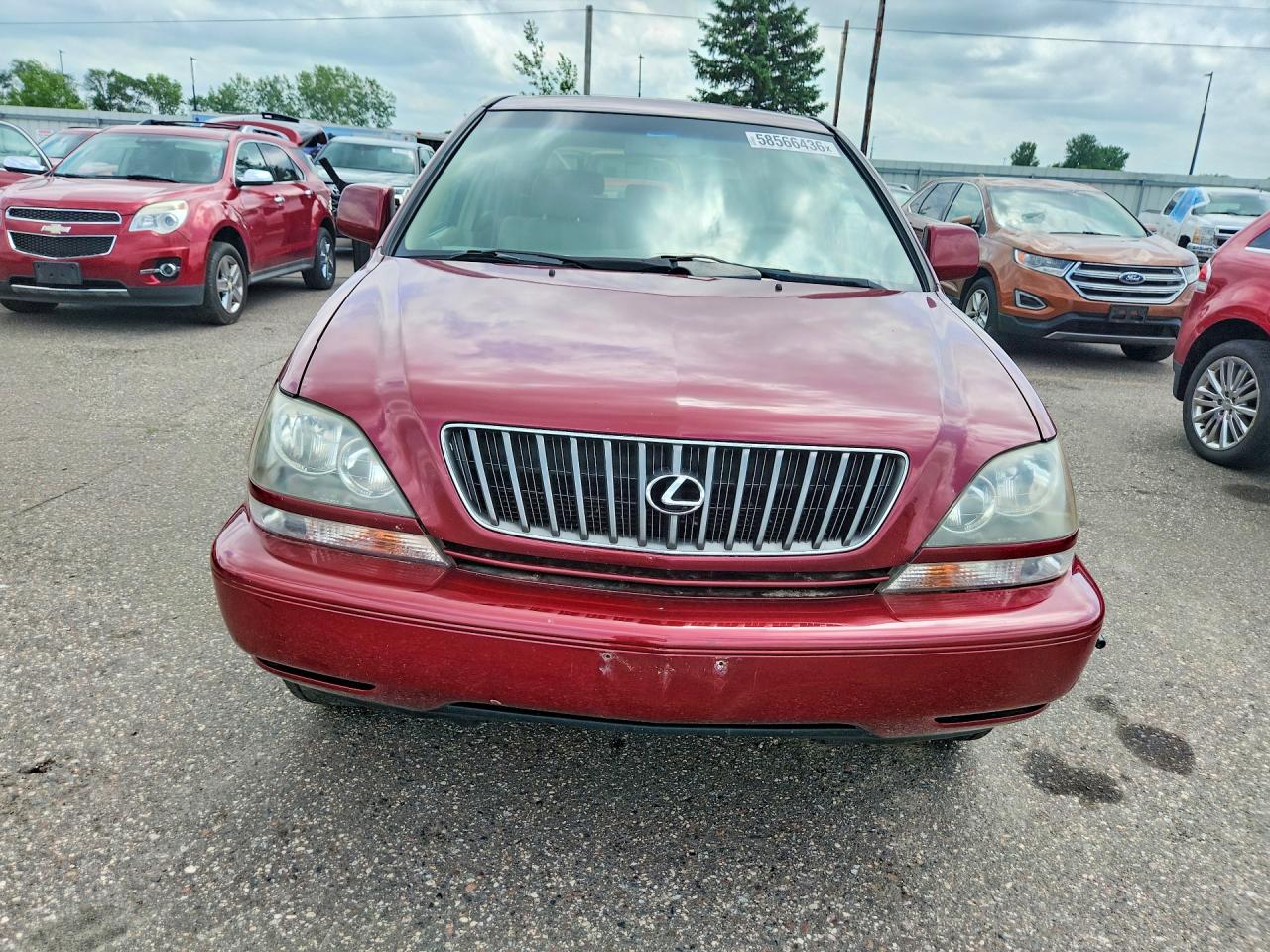 1999 LEXUS RX300