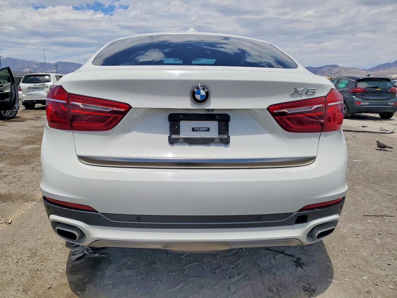 2019 BMW X6