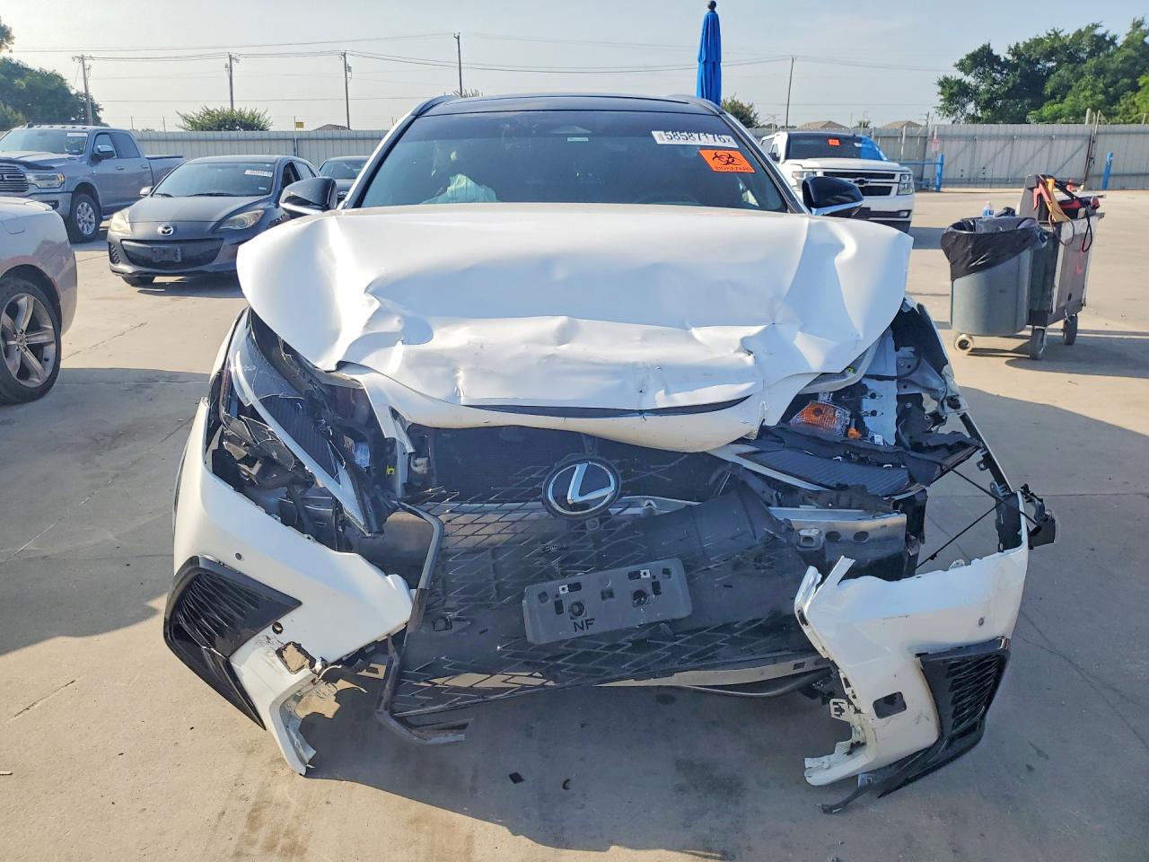 2024 LEXUS NX