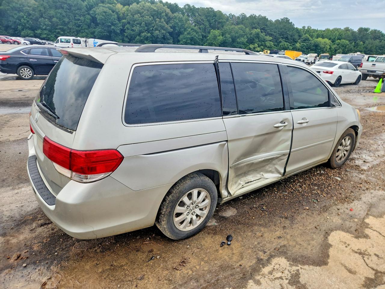 2008 HONDA All Models