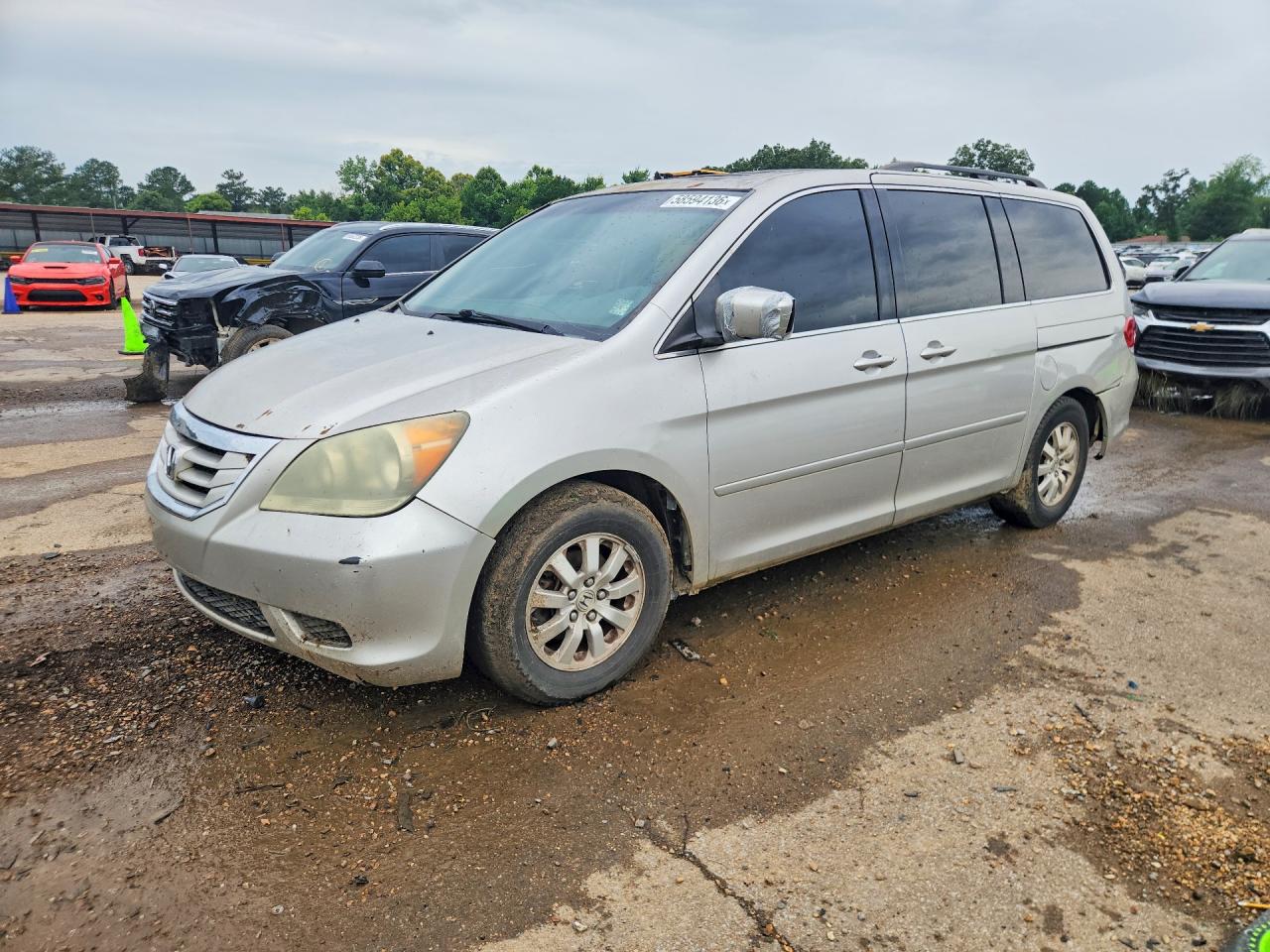 2008 HONDA All Models