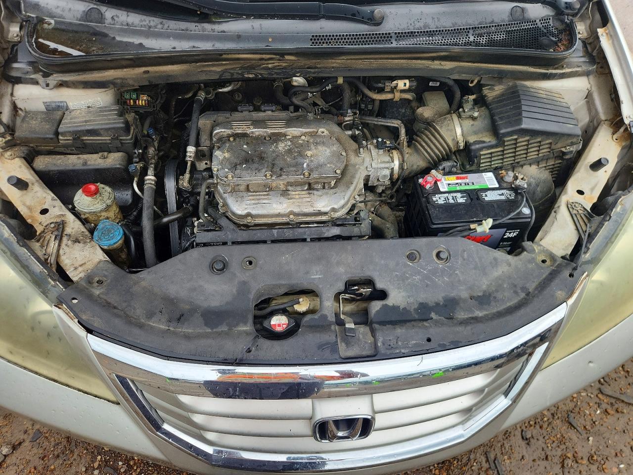 2008 HONDA All Models