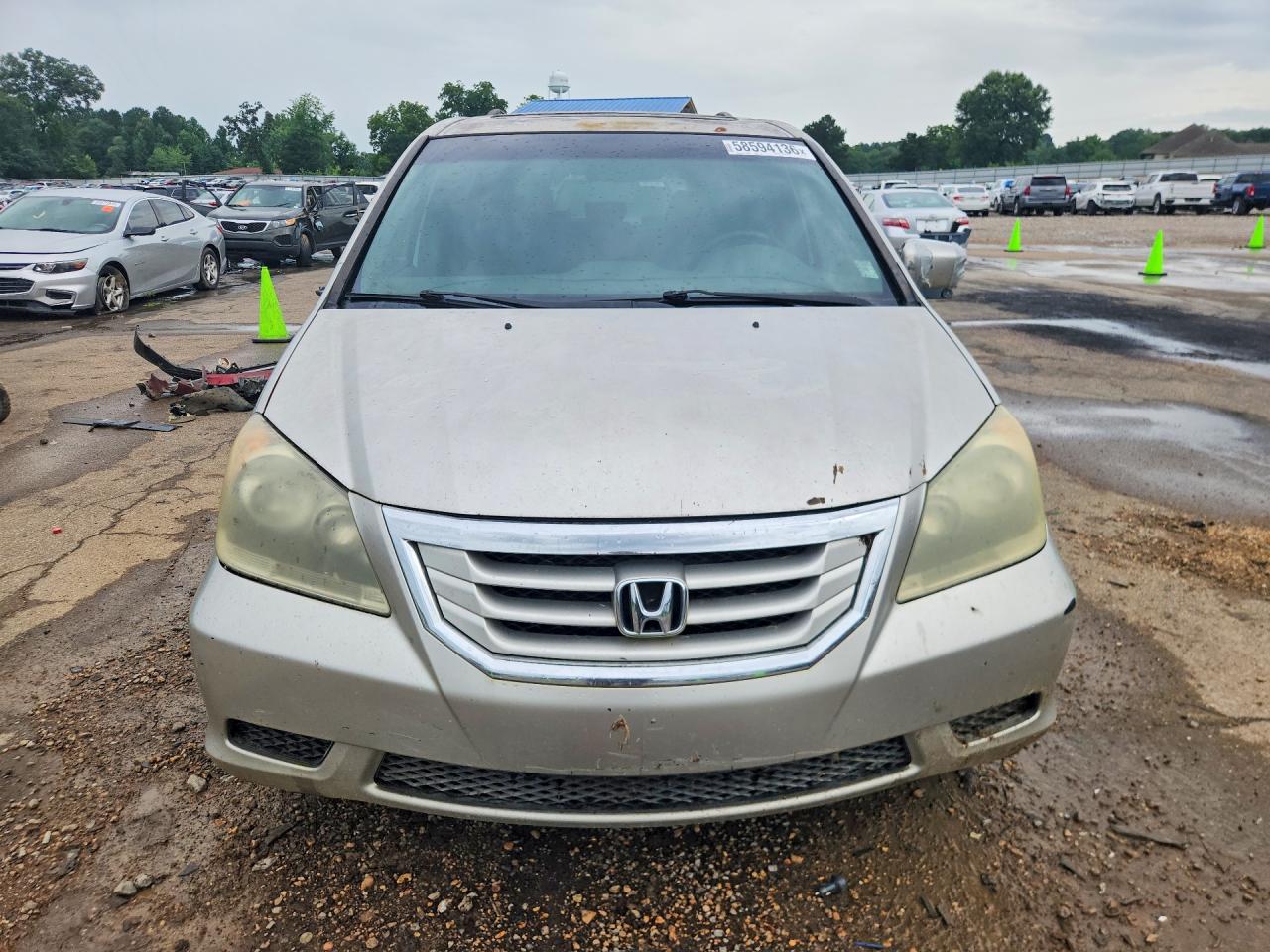 2008 HONDA All Models