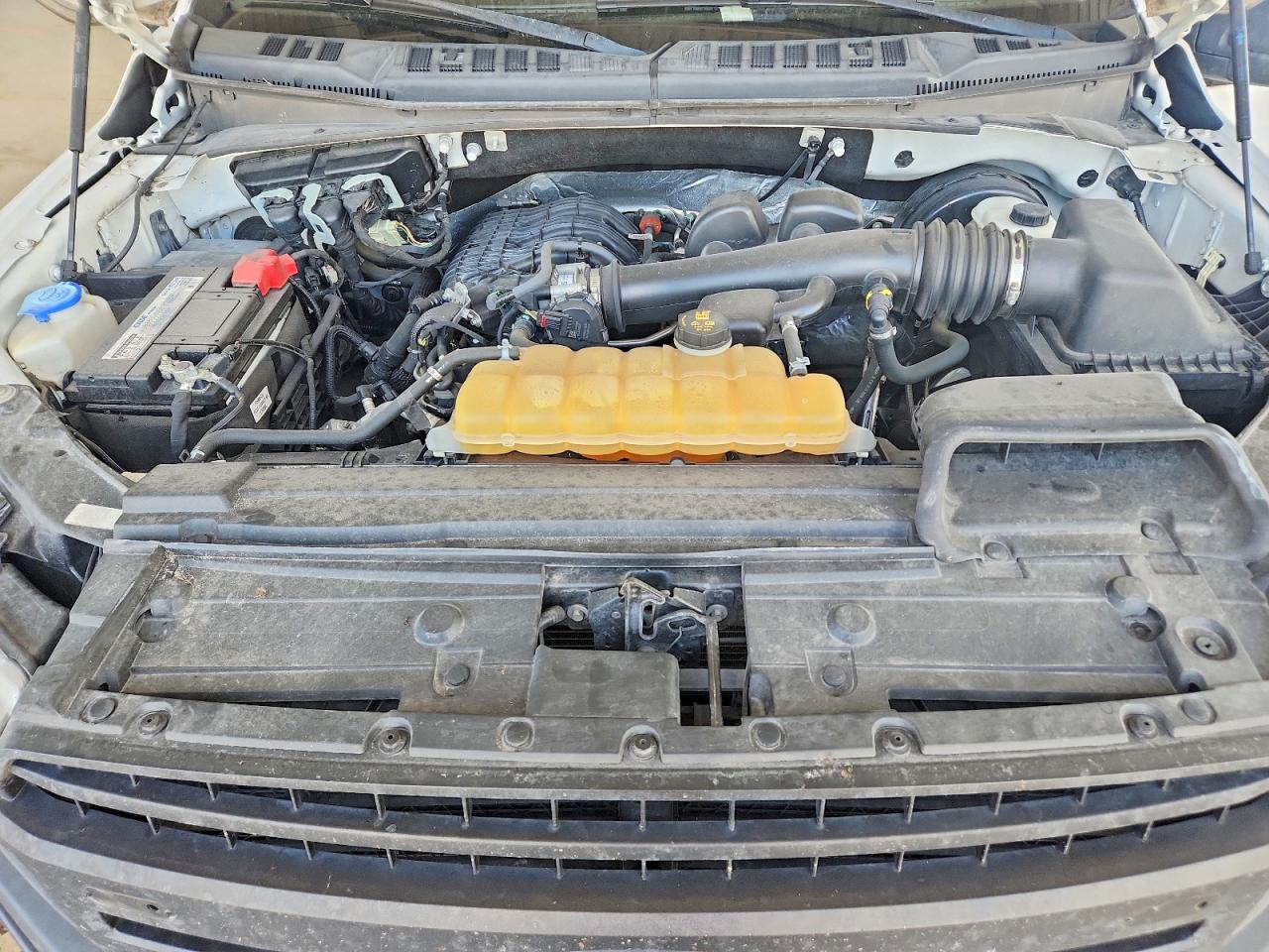 2019 FORD F150